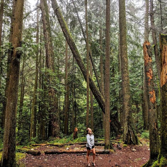 Meet your Posher, Alison - Picture 1 of 1